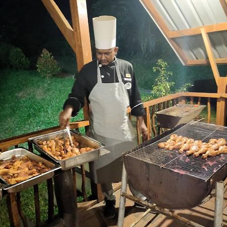 Cinnamon Village Sinharaja 代尼耶耶 外观 照片