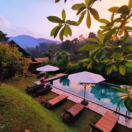 Cinnamon Village Sinharaja 代尼耶耶 外观 照片