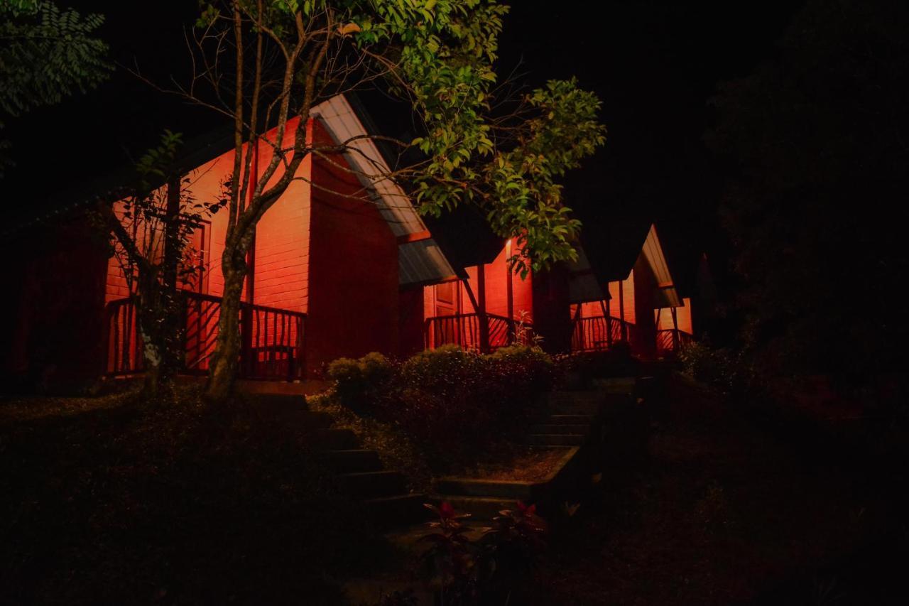 Cinnamon Village Sinharaja 代尼耶耶 外观 照片