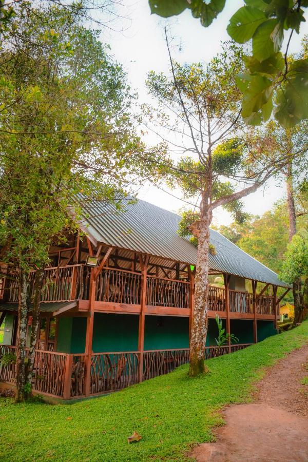 Cinnamon Village Sinharaja 代尼耶耶 外观 照片