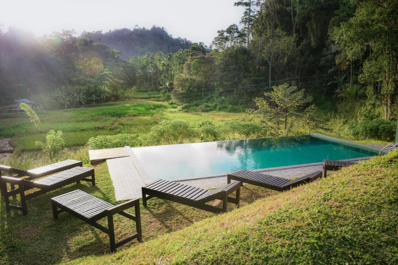 Cinnamon Village Sinharaja 代尼耶耶 外观 照片