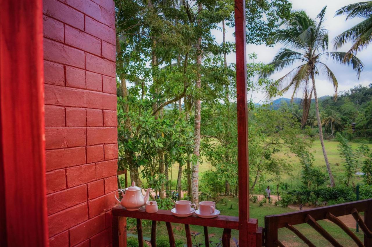 Cinnamon Village Sinharaja 代尼耶耶 外观 照片