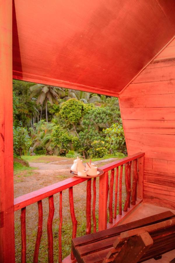 Cinnamon Village Sinharaja 代尼耶耶 外观 照片