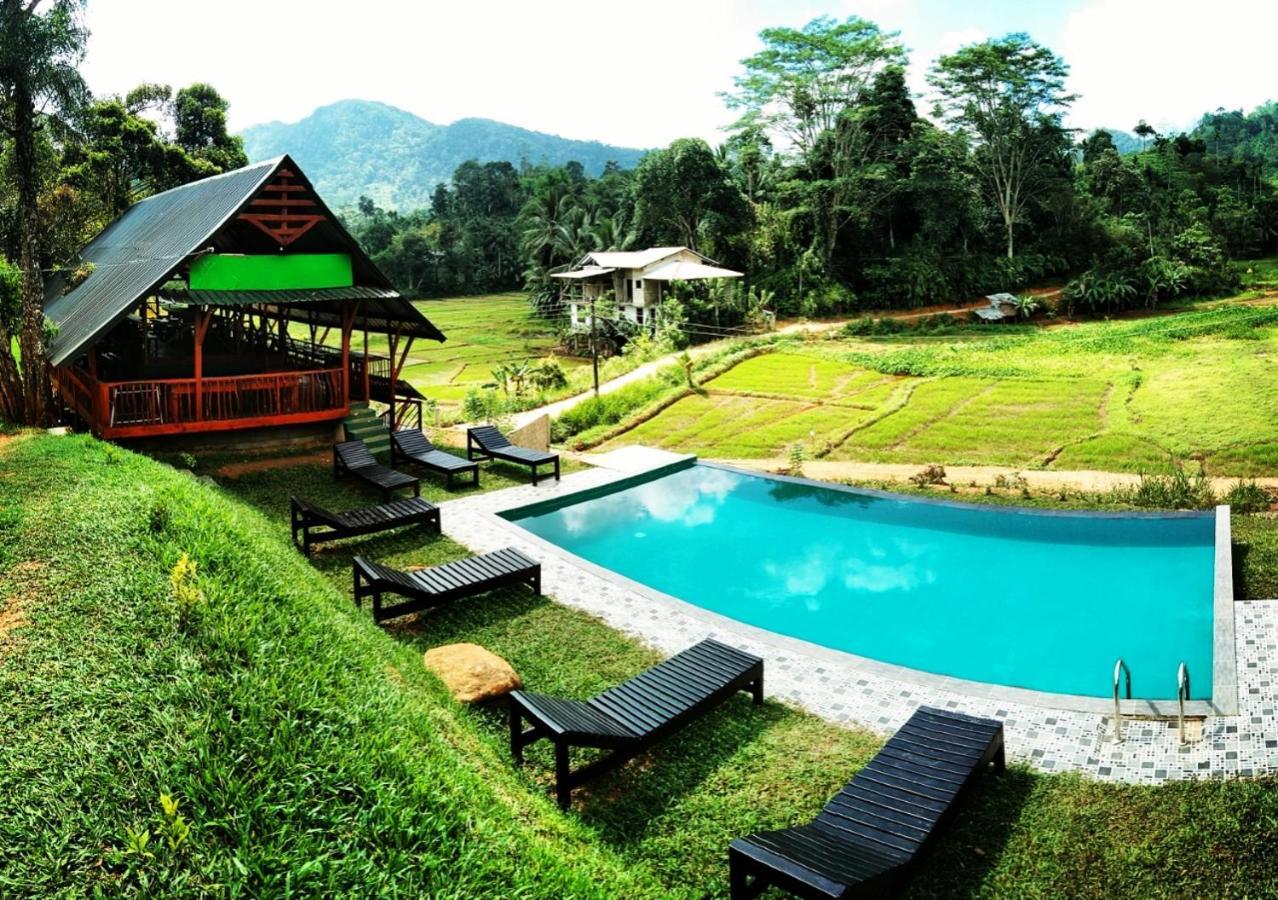 Cinnamon Village Sinharaja 代尼耶耶 外观 照片