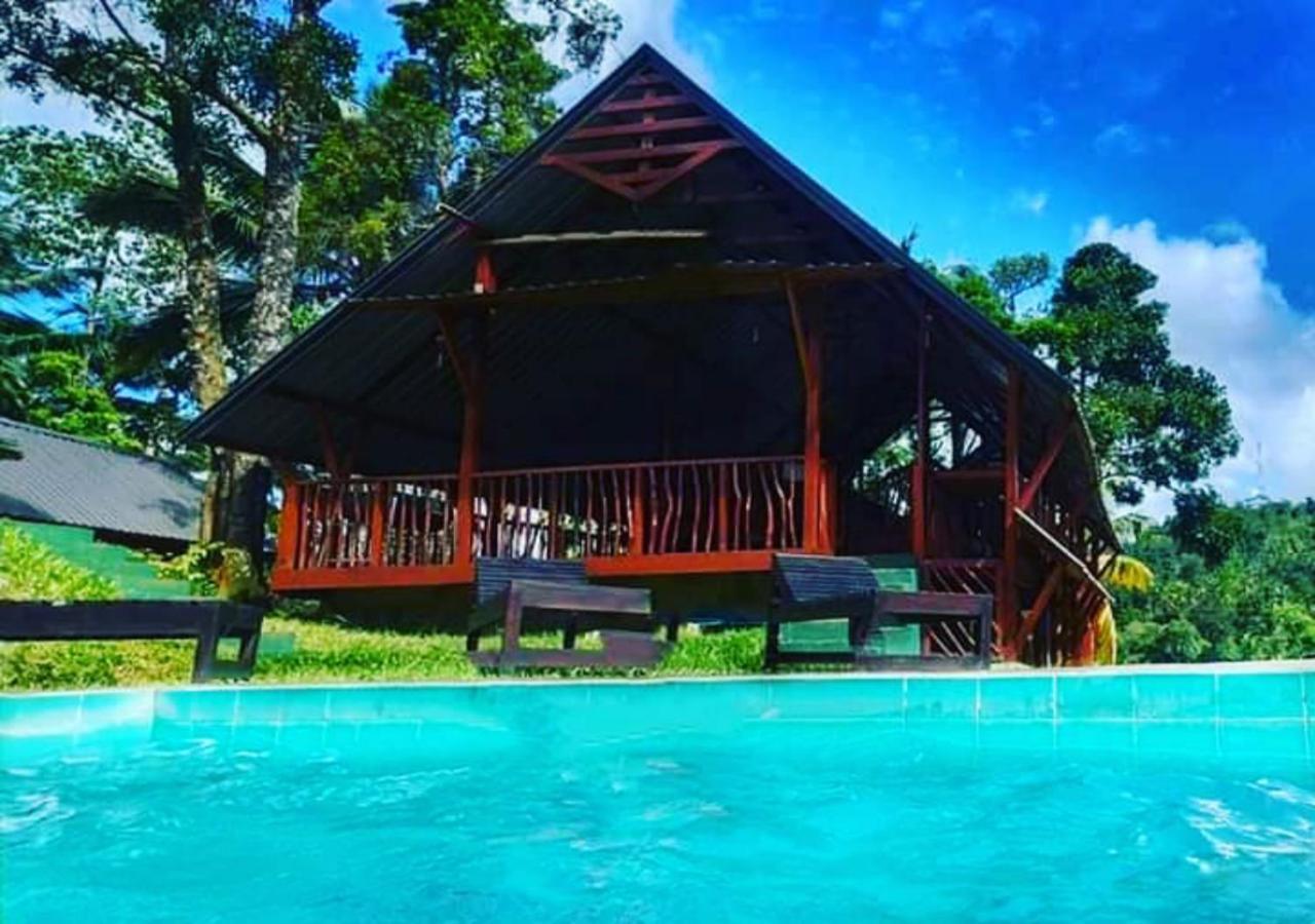 Cinnamon Village Sinharaja 代尼耶耶 外观 照片