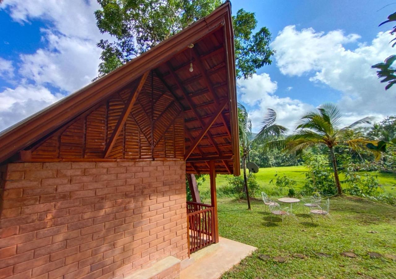 Cinnamon Village Sinharaja 代尼耶耶 外观 照片