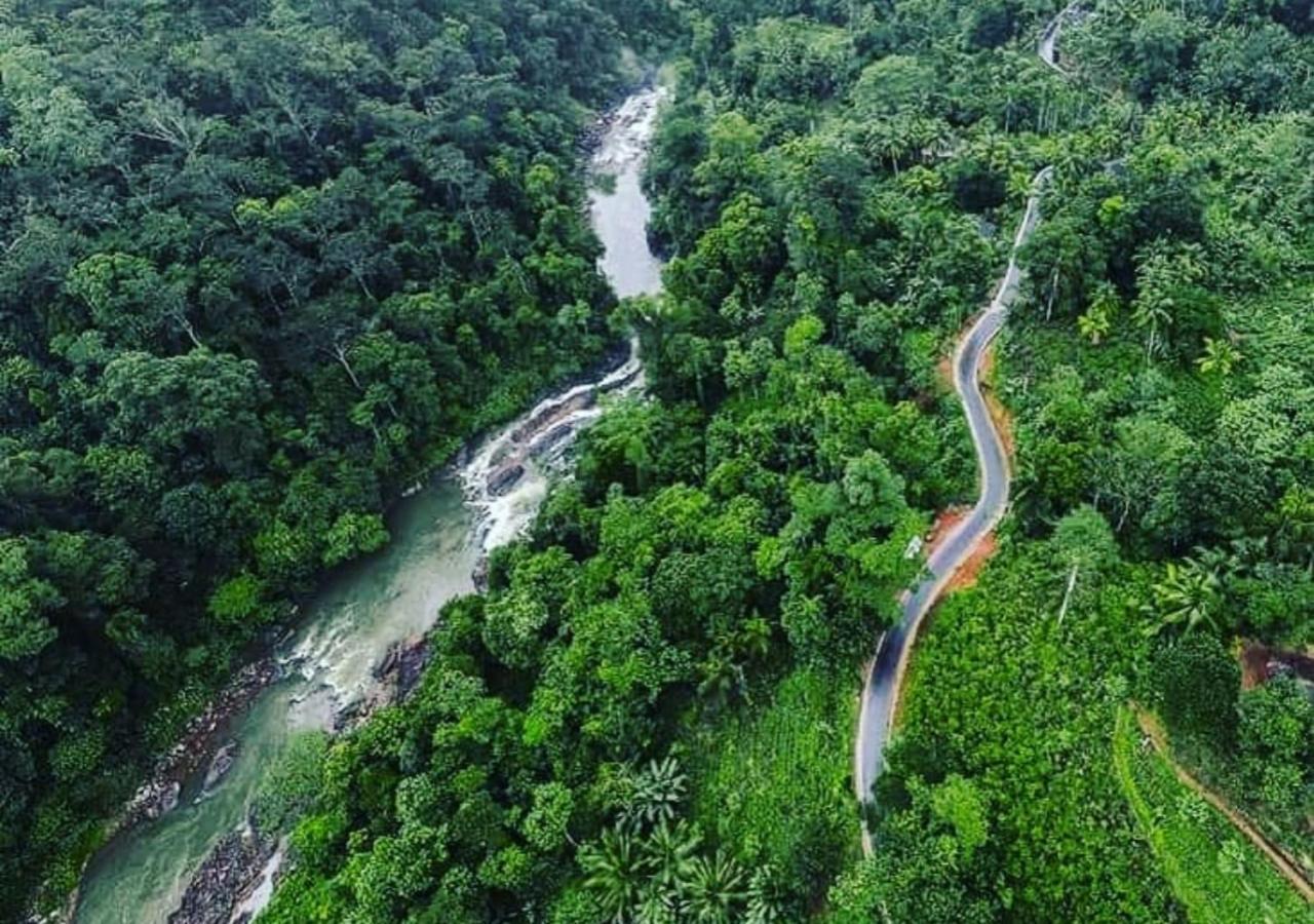 Cinnamon Village Sinharaja 代尼耶耶 外观 照片
