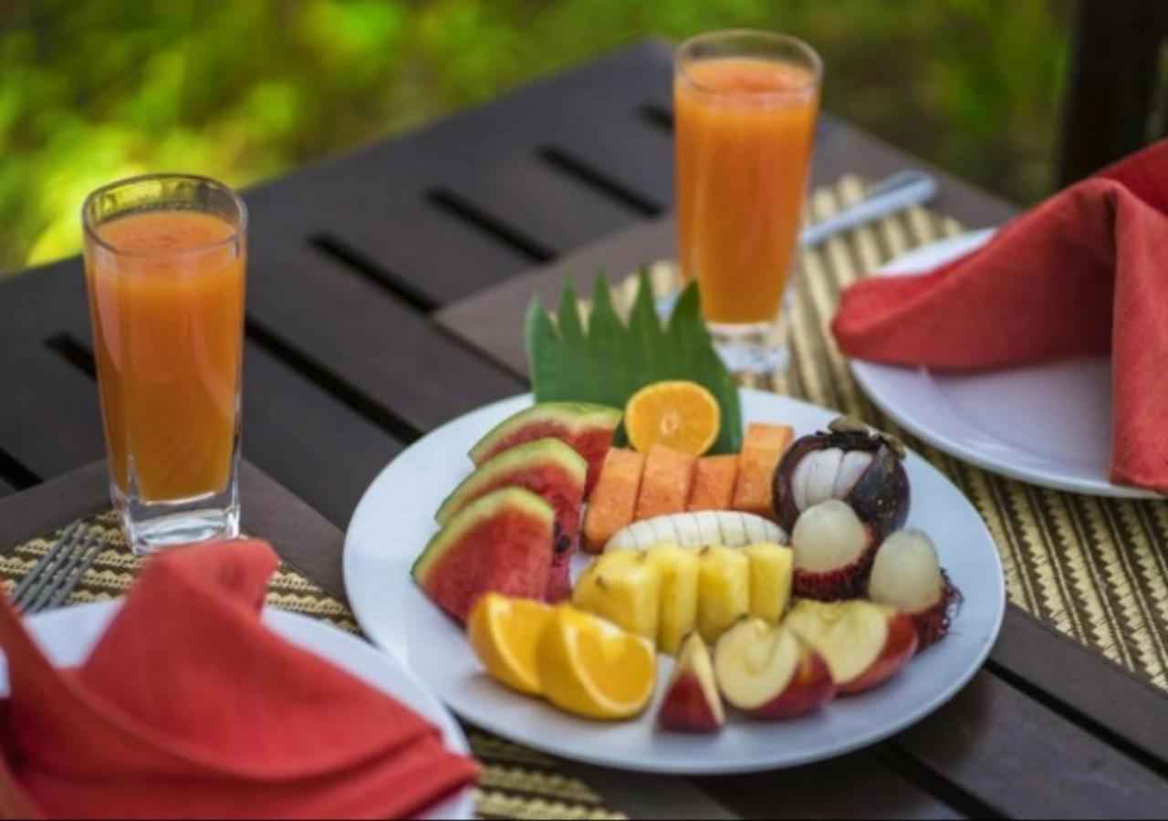 Cinnamon Village Sinharaja 代尼耶耶 外观 照片
