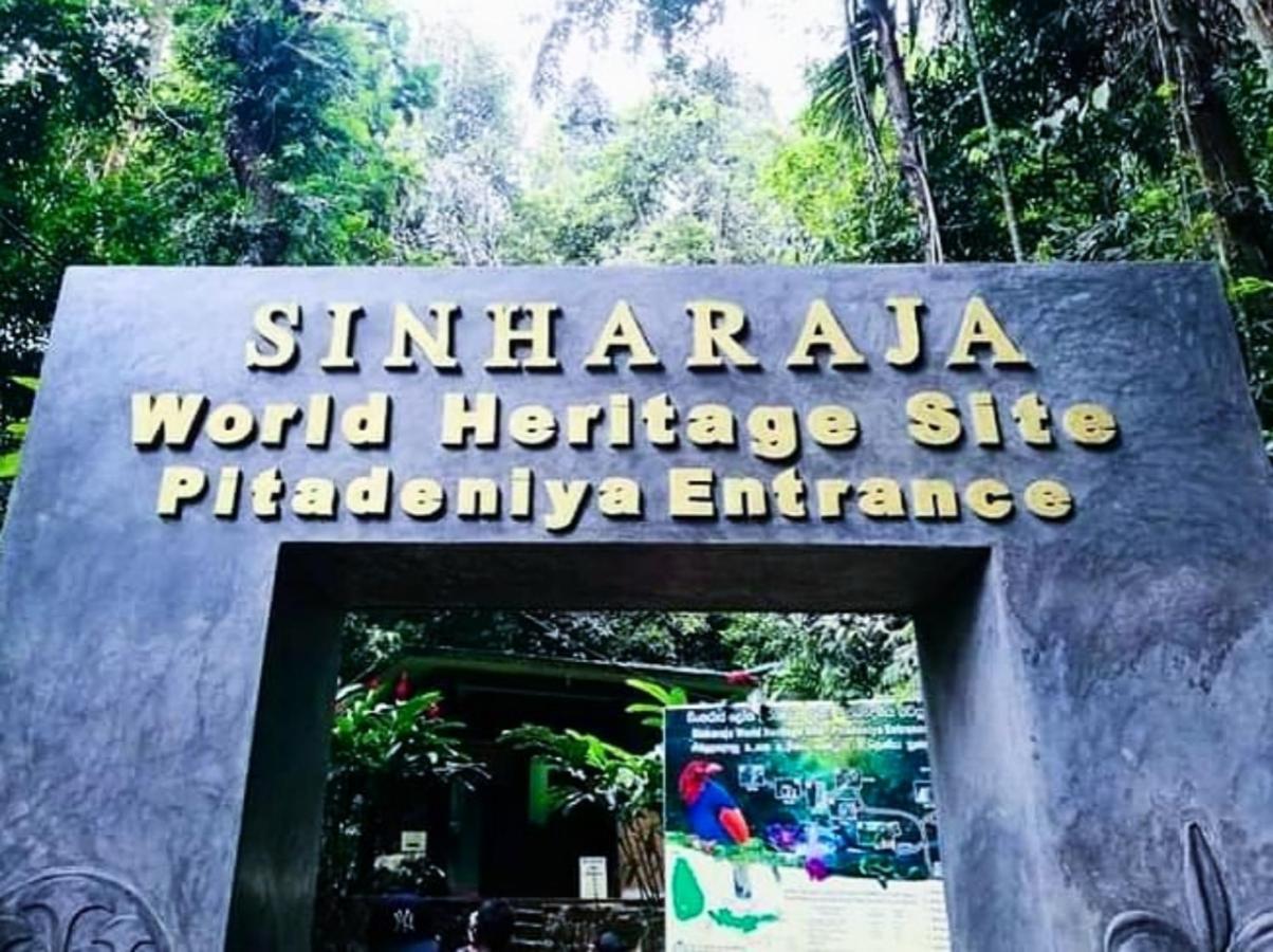 Cinnamon Village Sinharaja 代尼耶耶 外观 照片