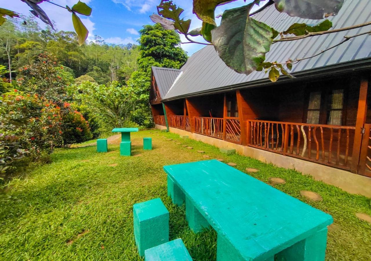 Cinnamon Village Sinharaja 代尼耶耶 外观 照片
