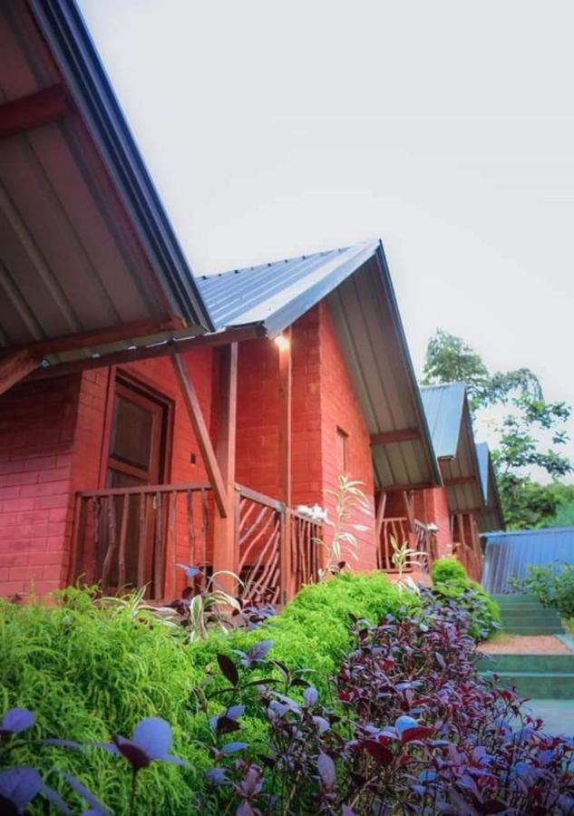 Cinnamon Village Sinharaja 代尼耶耶 外观 照片