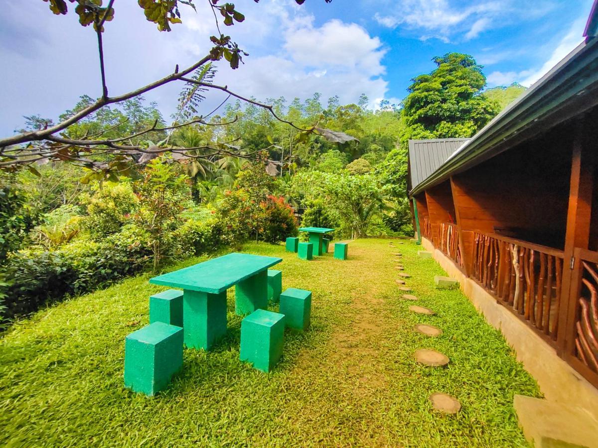 Cinnamon Village Sinharaja 代尼耶耶 外观 照片