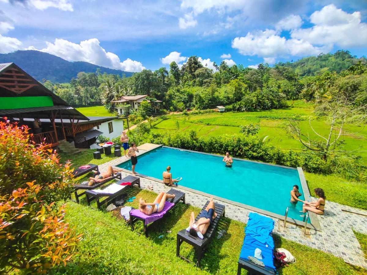 Cinnamon Village Sinharaja 代尼耶耶 外观 照片