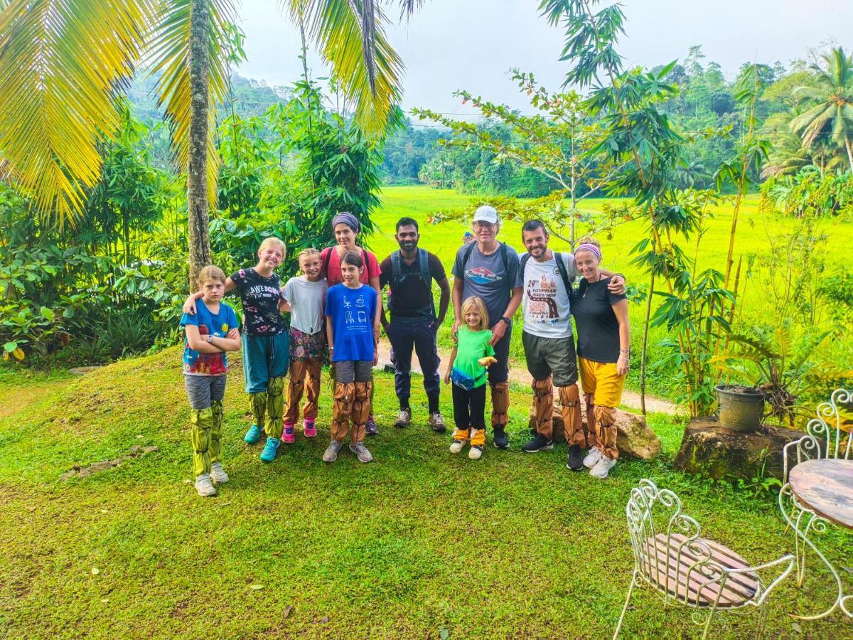 Cinnamon Village Sinharaja 代尼耶耶 外观 照片