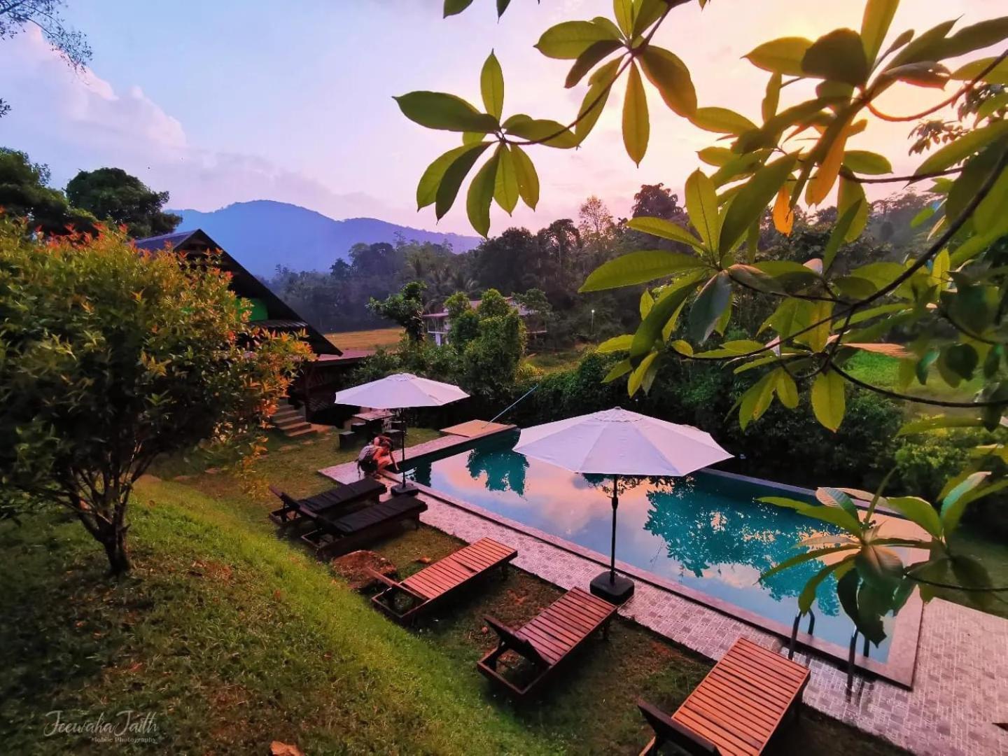 Cinnamon Village Sinharaja 代尼耶耶 外观 照片