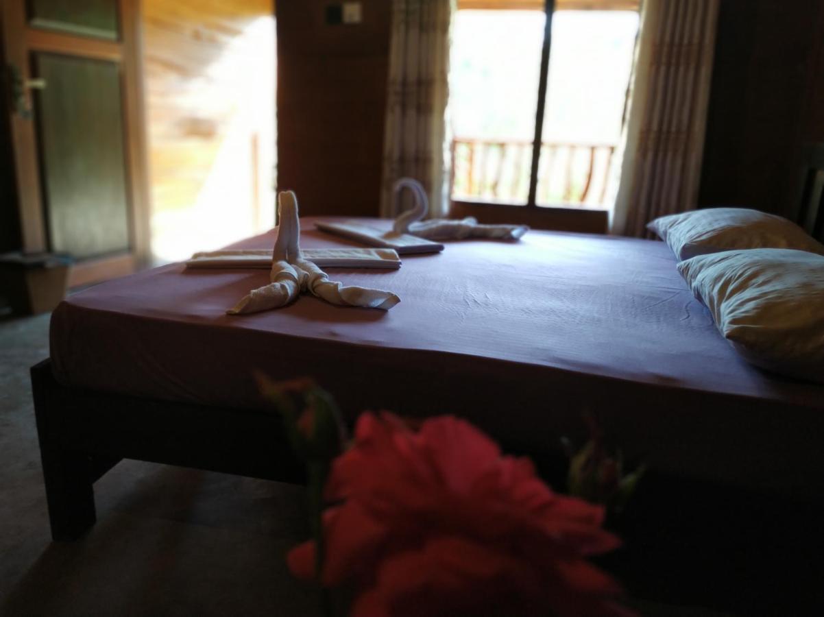 Cinnamon Village Sinharaja 代尼耶耶 外观 照片