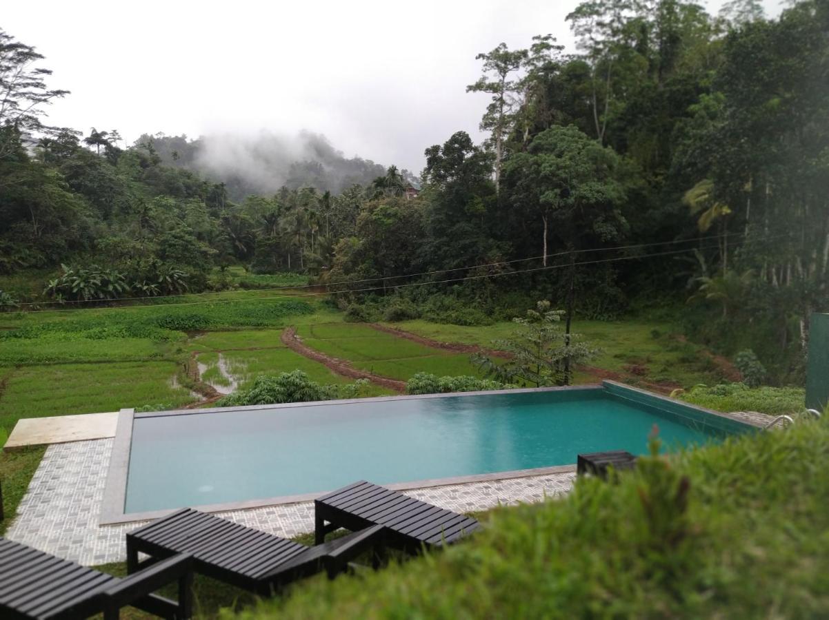 Cinnamon Village Sinharaja 代尼耶耶 外观 照片
