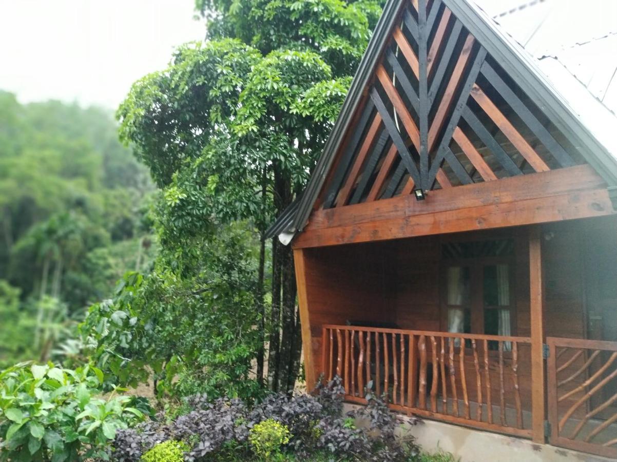 Cinnamon Village Sinharaja 代尼耶耶 外观 照片