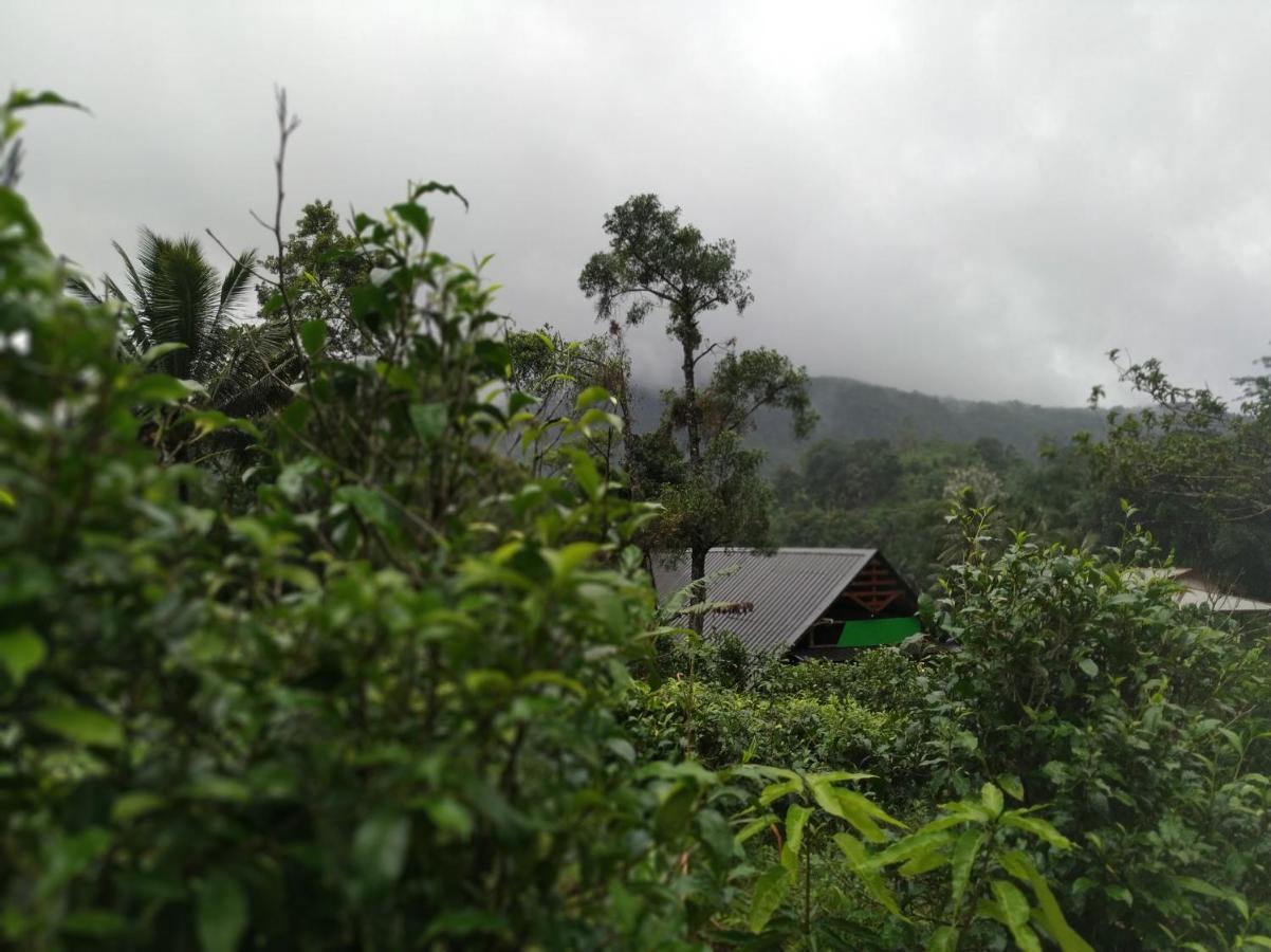 Cinnamon Village Sinharaja 代尼耶耶 外观 照片